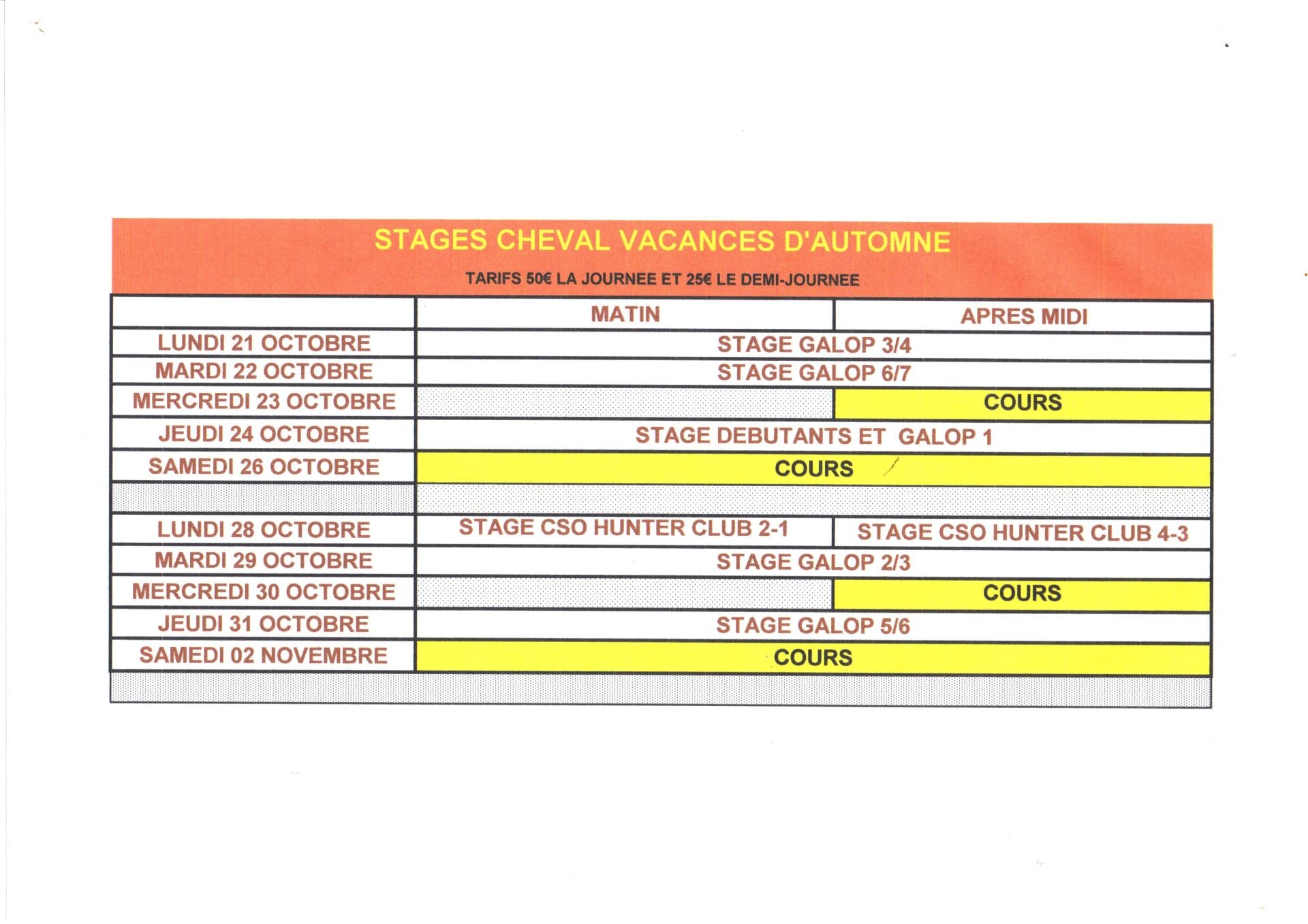 Stage cheval automne 2024