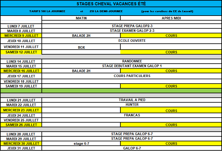 Stage chevaux juillet 2025