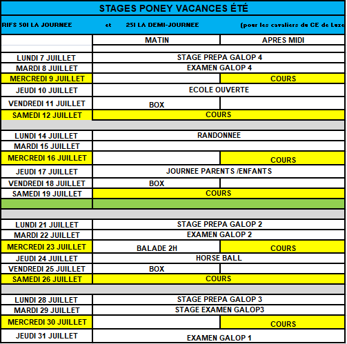 Stage poney juillet 2025